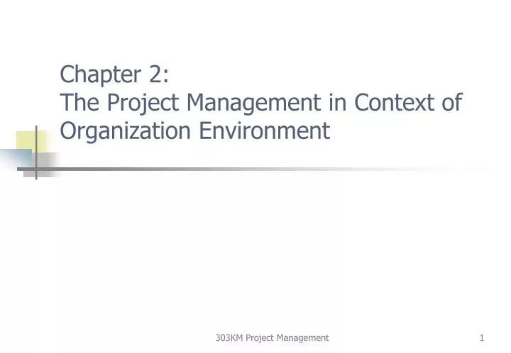 chapter 2 the project management in context of organization environment