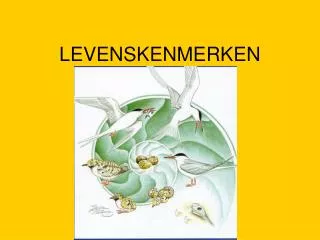 LEVENSKENMERKEN