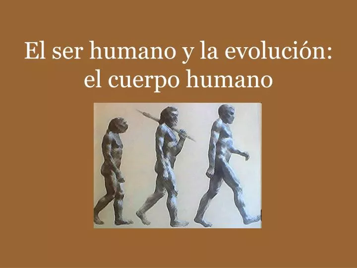 el ser humano y la evoluci n el cuerpo humano