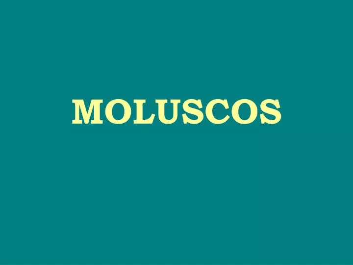 moluscos