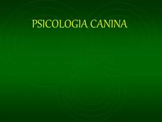 psicologia canina