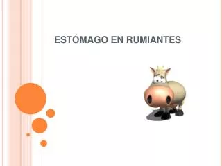 est mago en rumiantes