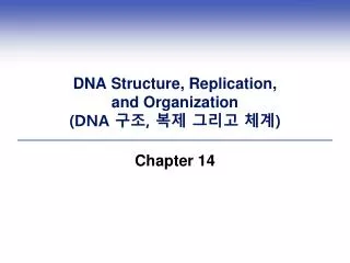 DNA Structure, Replication, and Organization (DNA 구조 , 복제 그리고 체계 )