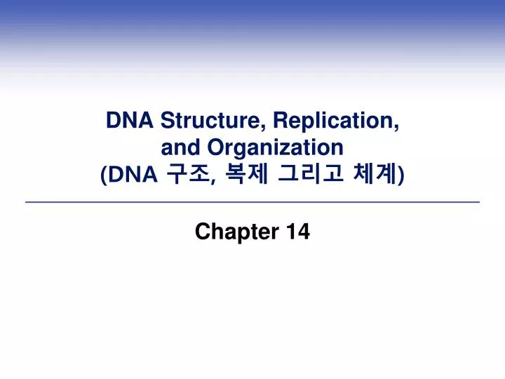 dna structure replication and organization dna