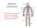 Apparato Circolatorio - slide 1