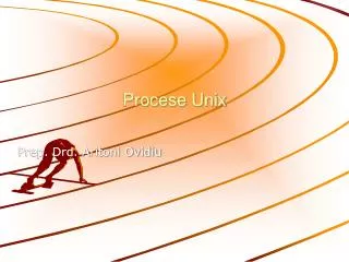 Procese Unix