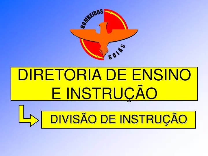 diretoria de ensino e instru o