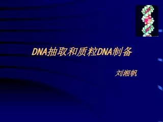 dna dna