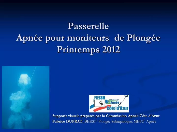 passerelle apn e pour moniteurs de plong e printemps 2012