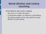 Serial dilution and colony counting