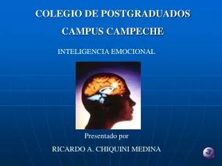 COLEGIO DE POSTGRADUADOS CAMPUS CAMPECHE