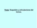 Título : Esqueleto y articulaciones del tronco. - slide 1