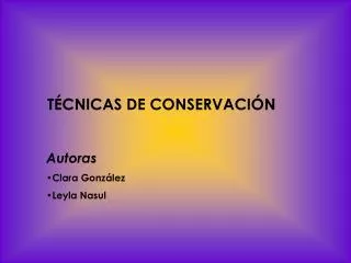 TÉCNICAS DE CONSERVACIÓN Autoras Clara González Leyla Nasul