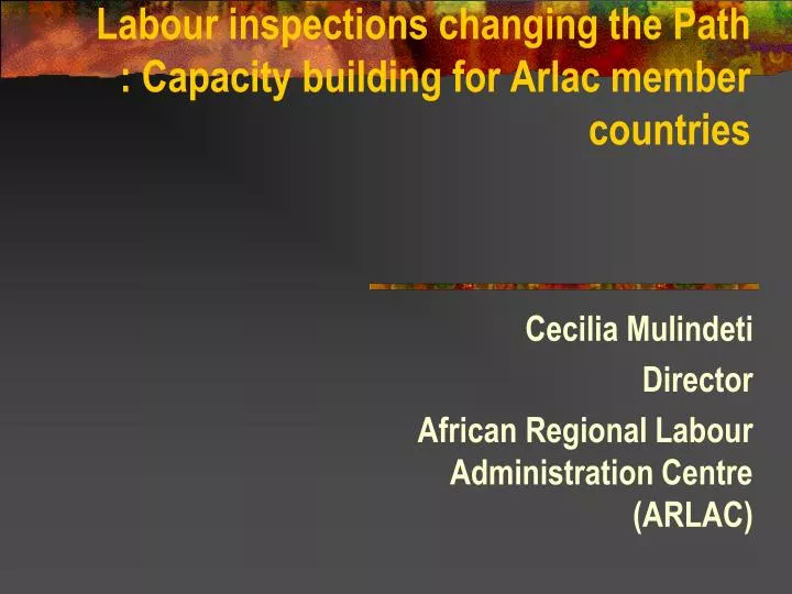 labour inspections changing the path capacity building for arlac member c ountries