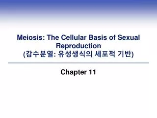 Meiosis: The Cellular Basis of Sexual Reproduction ( ???? : ????? ??? ?? )