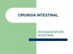 CIRURGIA INTESTINAL - slide 1