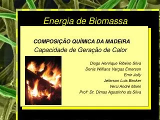 Energia de Biomassa