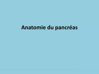 anatomie du pancr as