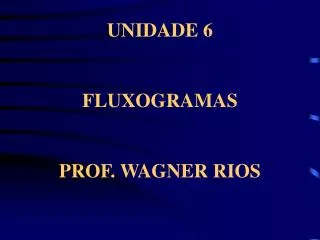 UNIDADE 6 FLUXOGRAMAS PROF. WAGNER RIOS