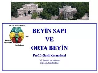 bey n sapi ve orta bey n prof dr sacit karam rsel stanbul t p fak ltesi fizyoloji anabilim dal