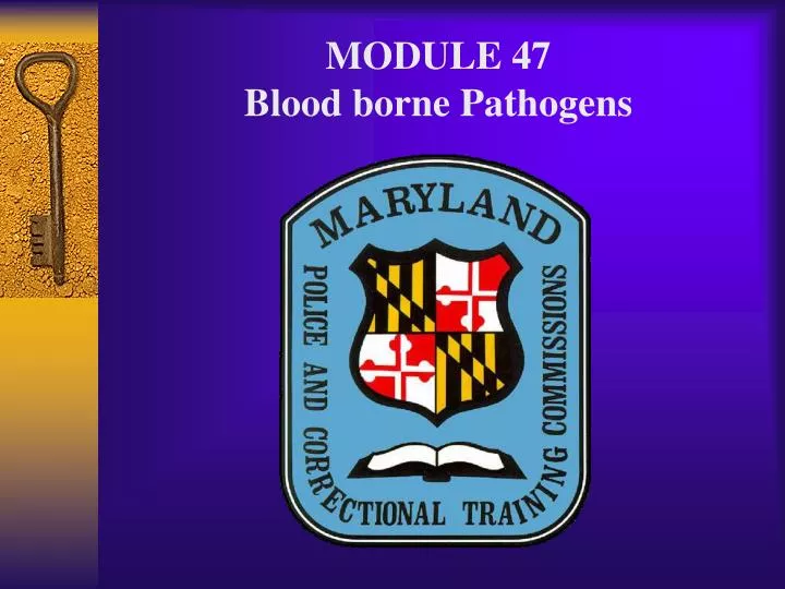 module 47 blood borne pathogens
