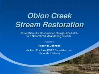 Obion Creek Stream Restoration