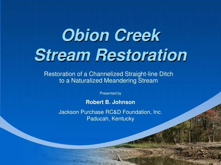 obion creek stream restoration