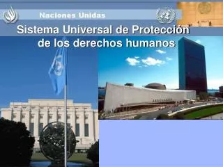 Sistema Universal de Protección de los derechos humanos