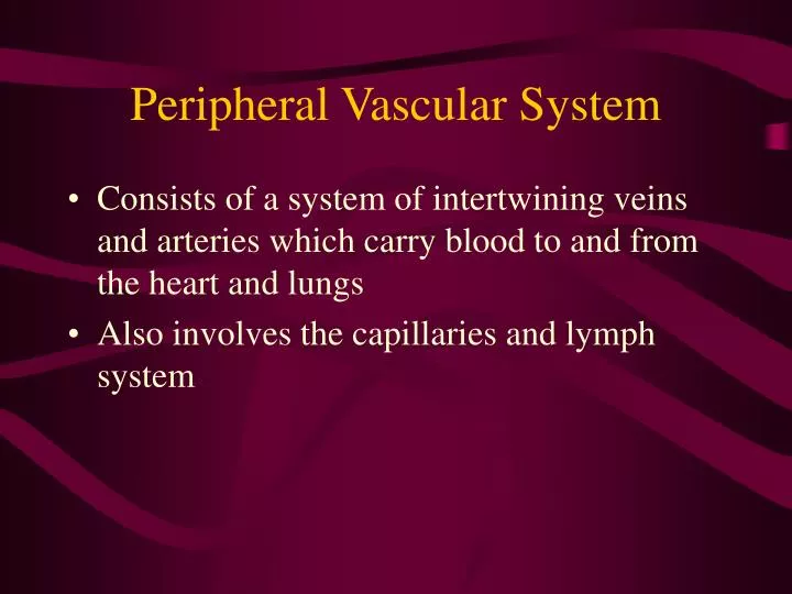peripheral vascular system