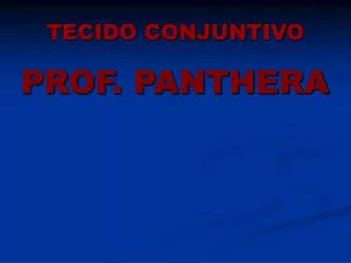 tecido conjuntivo