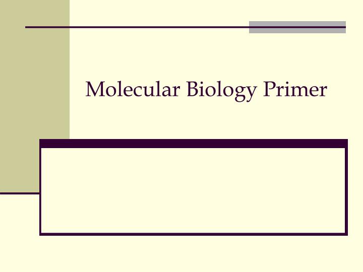 molecular biology primer