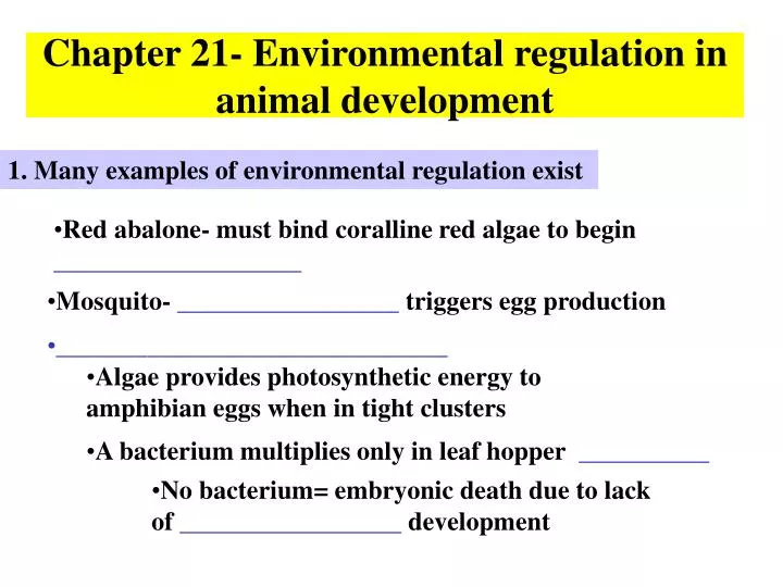 chapter 21 environmental regulation in animal development