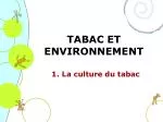 Impact of Tobacco on the Environment - slide 1