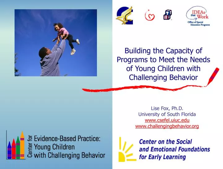 building the capacity of programs to meet the needs of young children with challenging behavior