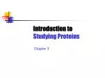 Introduction to Studying Proteins