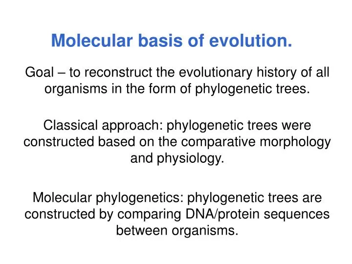 molecular basis of evolution