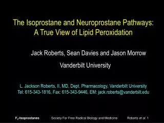 The Isoprostane and Neuroprostane Pathways: A True View of Lipid Peroxidation