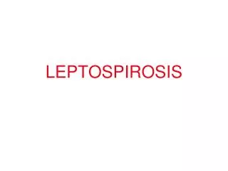 leptospirosis