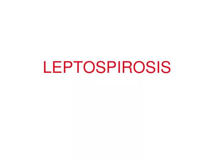 leptospirosis