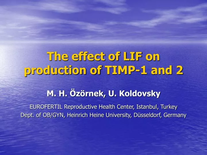 the effect of lif on production of timp 1 and 2