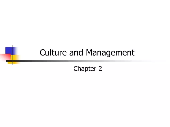 culture and management