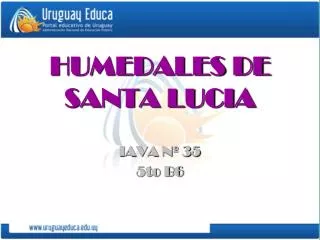 HUMEDALES DE SANTA LUCIA