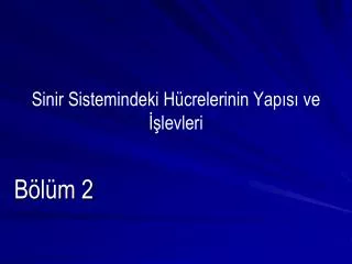sinir sistemindeki h crelerinin yap s ve levleri
