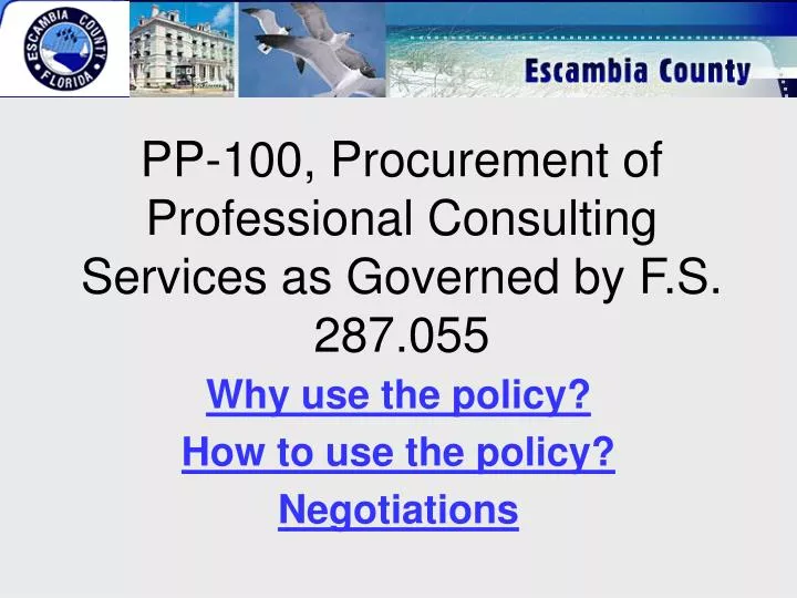 pp 100 procurement of professional consulting services as governed by f s 287 055