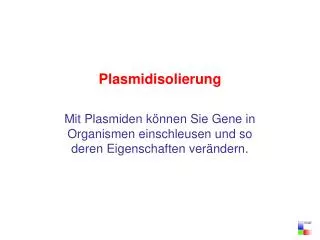 Plasmidisolierung