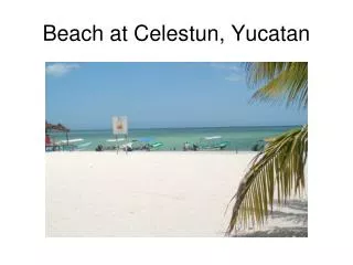 Beach at Celestun, Yucatan