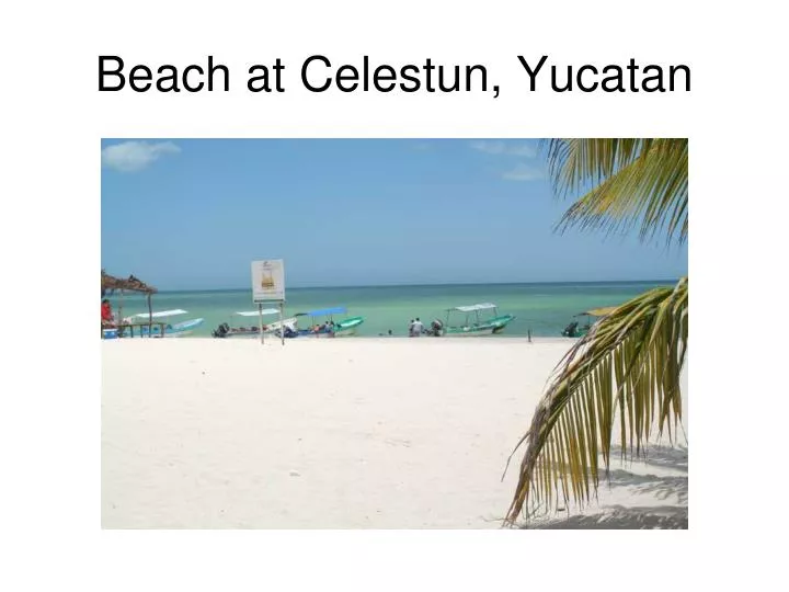 beach at celestun yucatan
