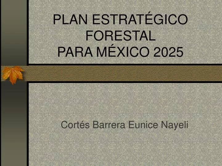 plan estrat gico forestal para m xico 2025
