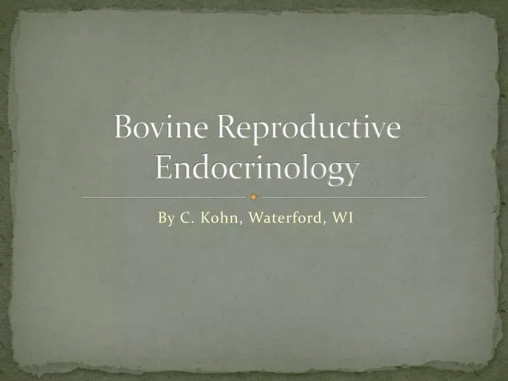 bovine reproductive endocrinology