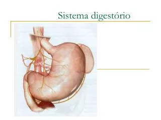 sistema digest rio